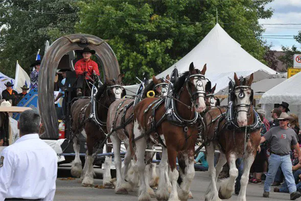 Chapiteaux en location pour des événements